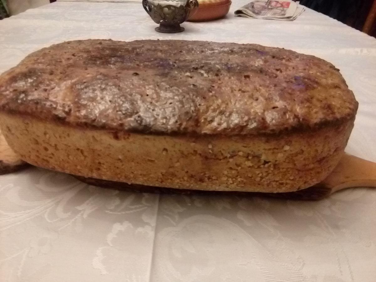 Nocleg ze śniadaniem Navigator Nysa